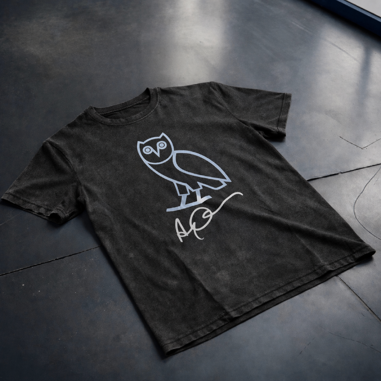 Iced Drake OVO Owl Embroidered T-Shirt – Premium Oversized Hip-Hop Streetwear Tee