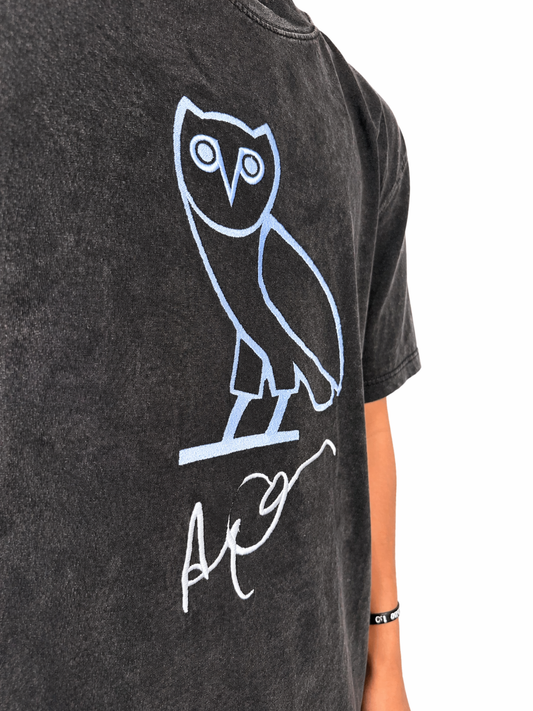 Iced Drake OVO Owl Embroidered T-Shirt – Premium Oversized Hip-Hop Streetwear Tee