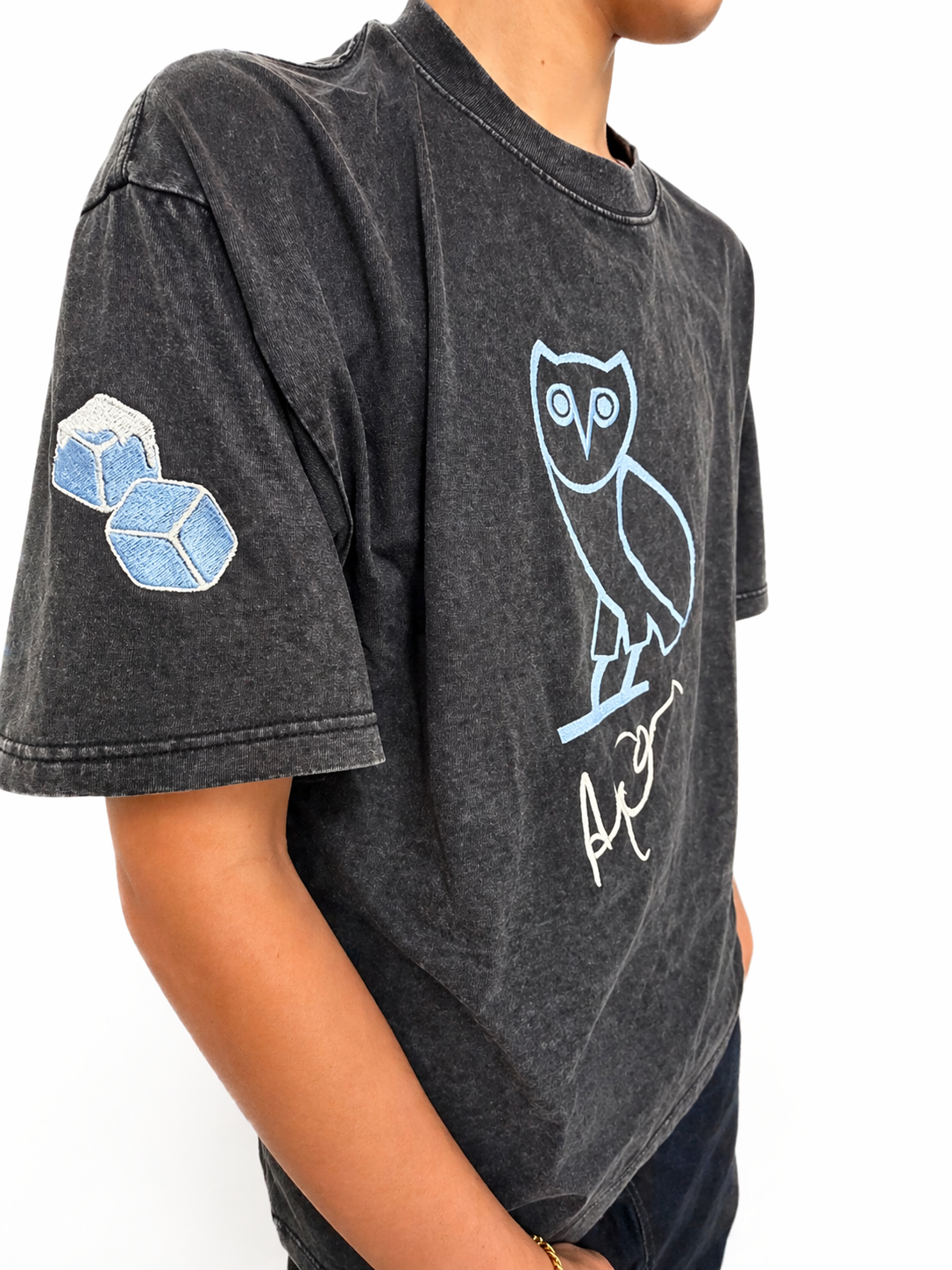 Iced Drake OVO Owl Embroidered T-Shirt – Premium Oversized Hip-Hop Streetwear Tee